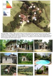 Maison en pierre 300m² entièrement rénovée avec 3 dépendances agricoles sur 5 hectares entièrement clôturés - Saint-Clair (82400)