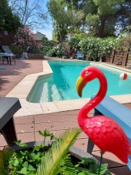 Vente villa en activité chambres d'hôtes - Florensac (34510)