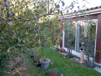 A vendre Maison montauban 5 ch 136m2 quartier lalande R+1 - Montauban (82000)