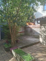 Studio avec grande terrasse - Toulouse (31400)