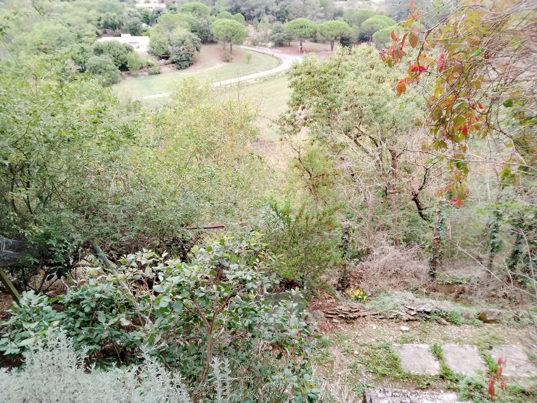 ph11_64782