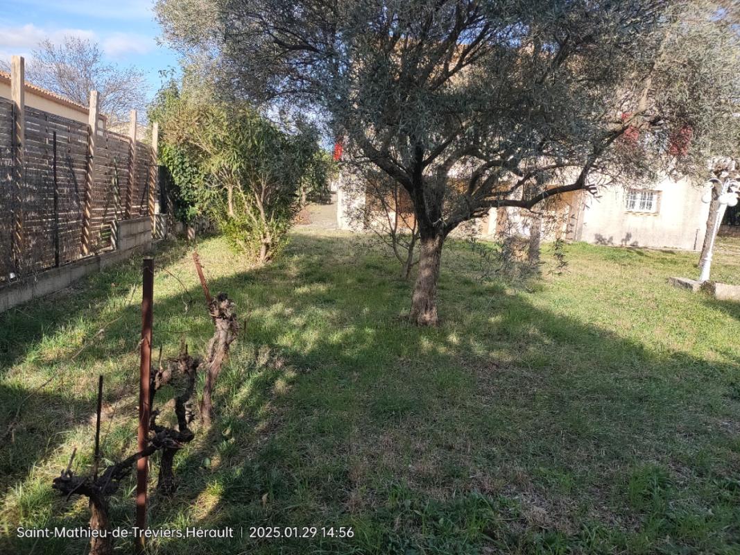 Maison 5 pièces / 140 m² - Photo 12 - Saint-Mathieu-de-Tréviers