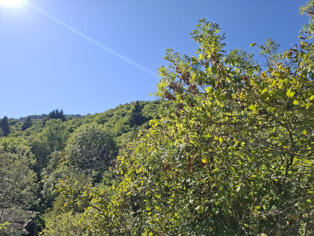Villa d'architecte - Photo 13 - Villefort