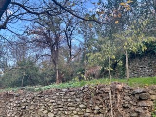 SUPERBE MAISON DE VILLAGE ENTIEREMENT RENOVÉE A RIGARDA + Magnifique terrain non attenant de 1200 m² au bord de la Rivière - Photo 13 - Rigarda