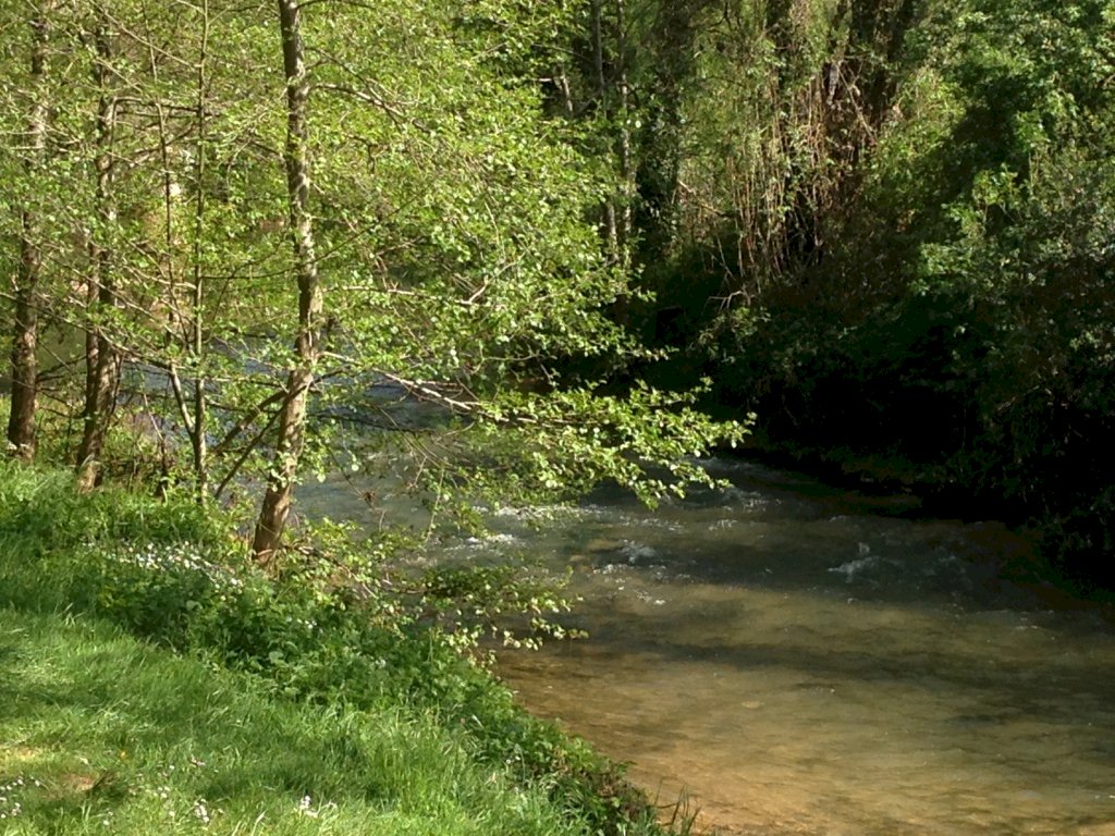 ph14_61349