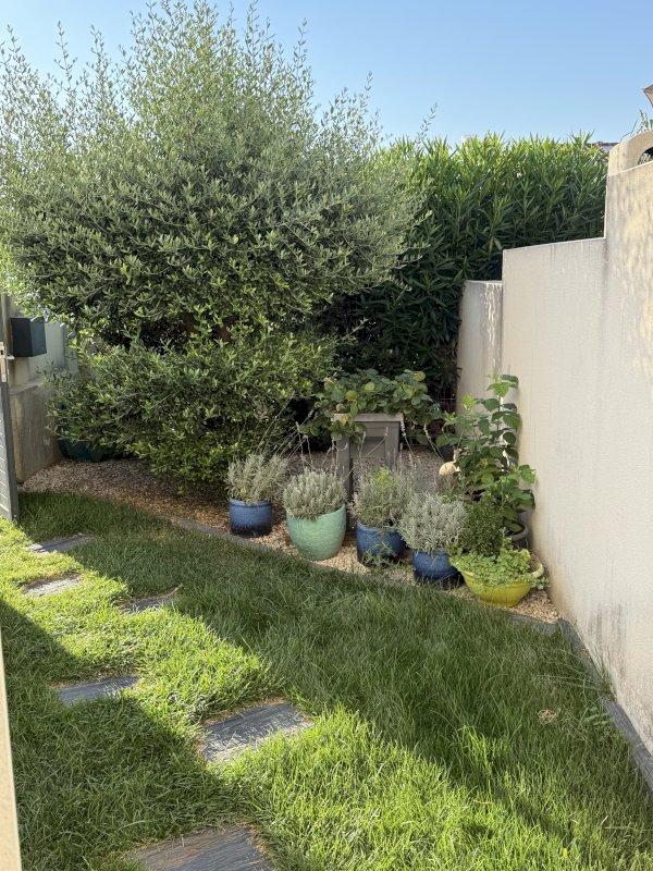 Maison avec Jardin et garage - Photo 14 - Cournonterral