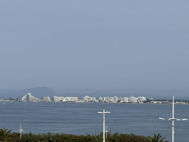 APPARTEMENT TERRASSE 3 PIECES TRAVERSANT PORT CAMARGUE VUE PORT ET MER - Photo 15 - Port-Camargue
