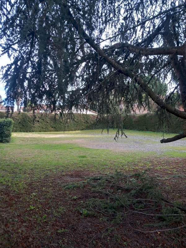 Studio + Parking - Photo 4 - Montauban
