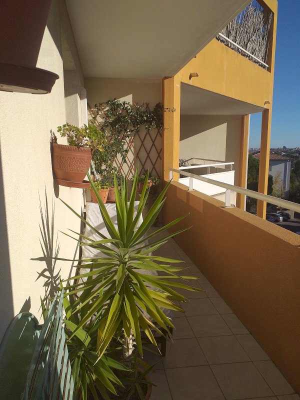 APPARTEMENT F3 MONTPELLIER HOPITAUX FACULTES - Photo 4 - Montpellier