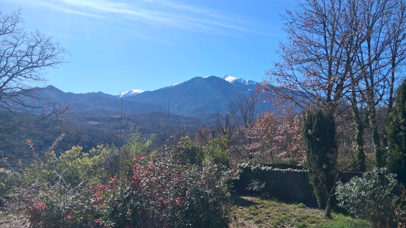 Vente maison Los Masos  - Photo 5 - Los Masos