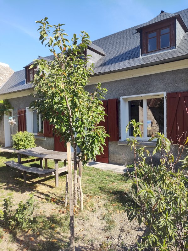 Fromagerie et sa maison  - Photo 5 - Ossen