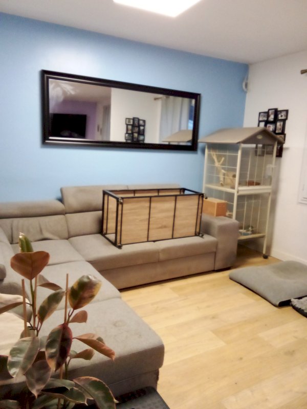 Maison de 75 m² avec grand garage - Photo 6 - Mazamet
