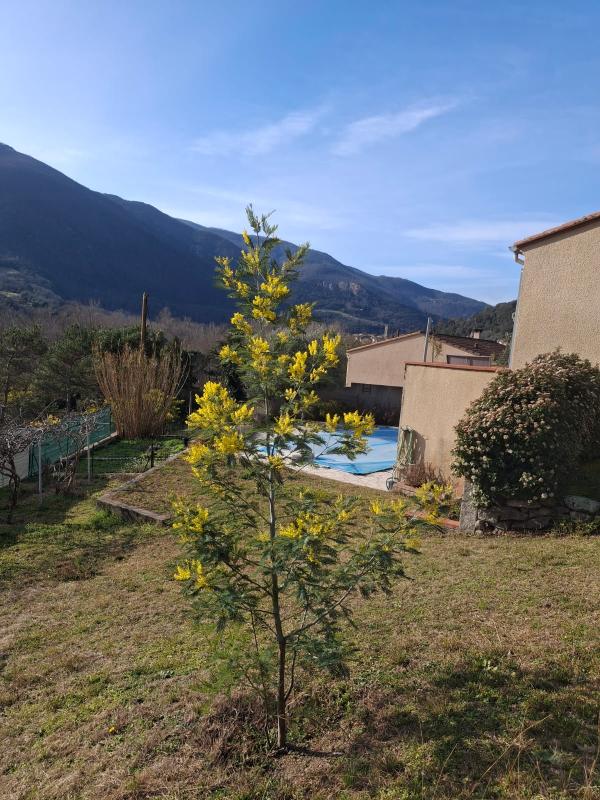 Villa d’architecte - Photo 7 - Arles-sur-Tech