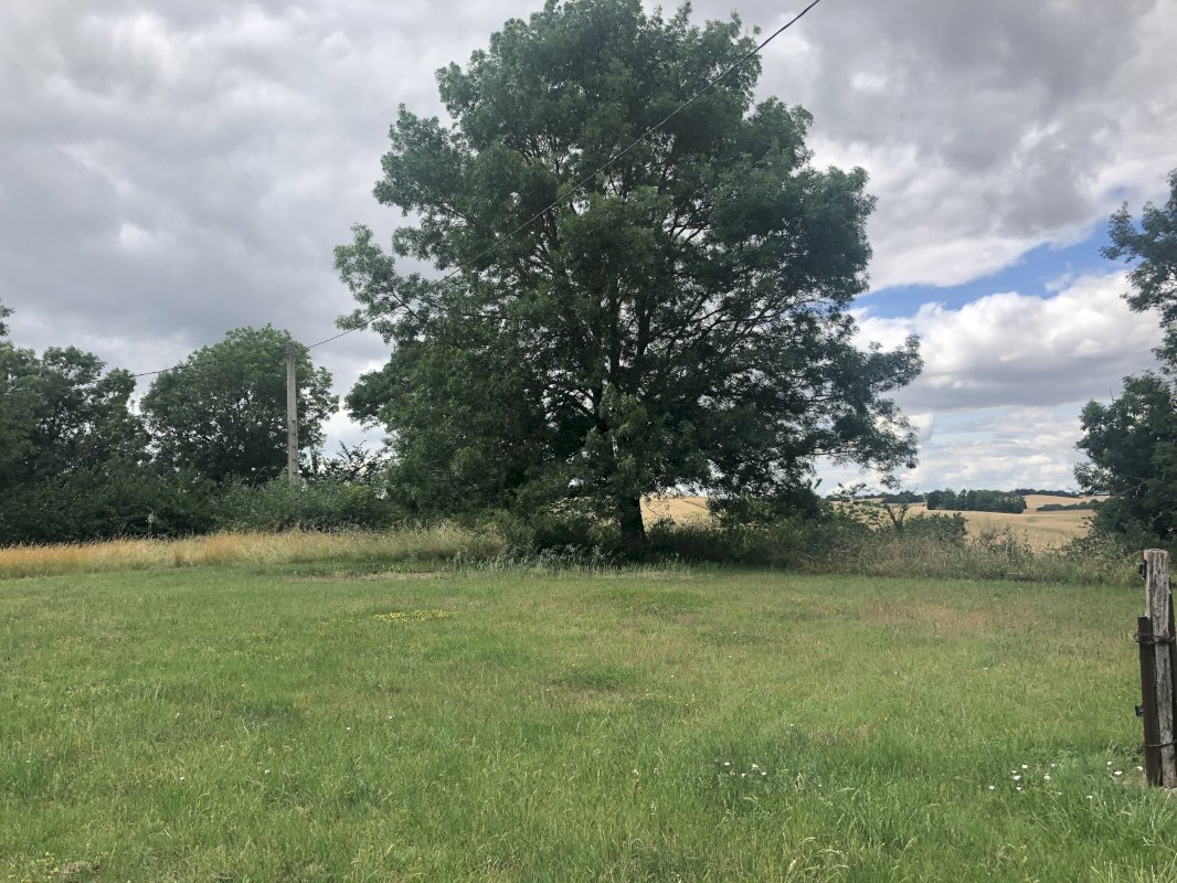 Corps de ferme mitoyen - Photo 8 - Nailloux