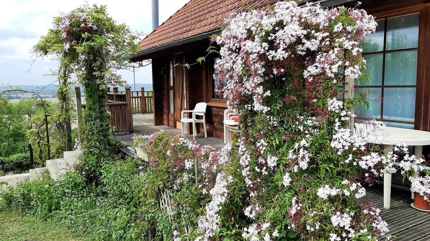 Maison Bois - Photo 9 - Marciac