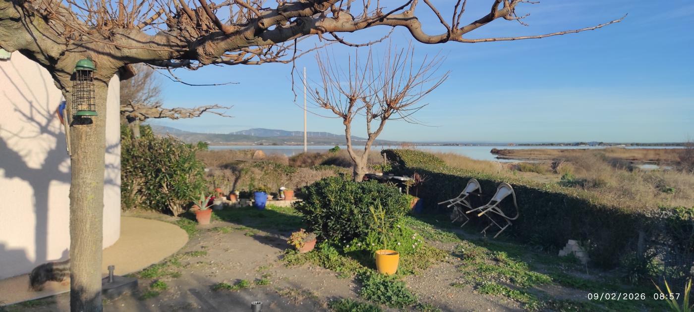ph9_66521