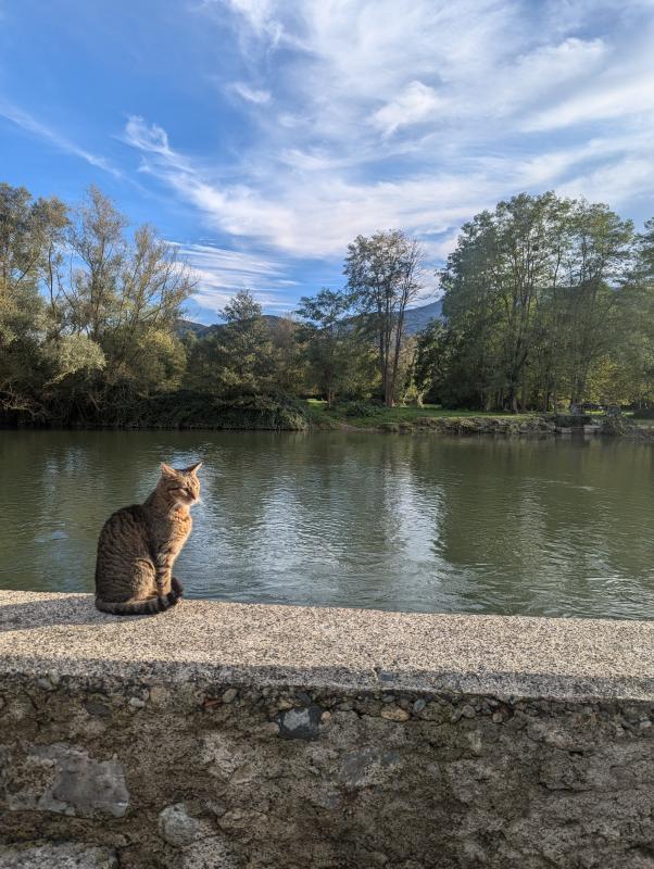 ph9_66887